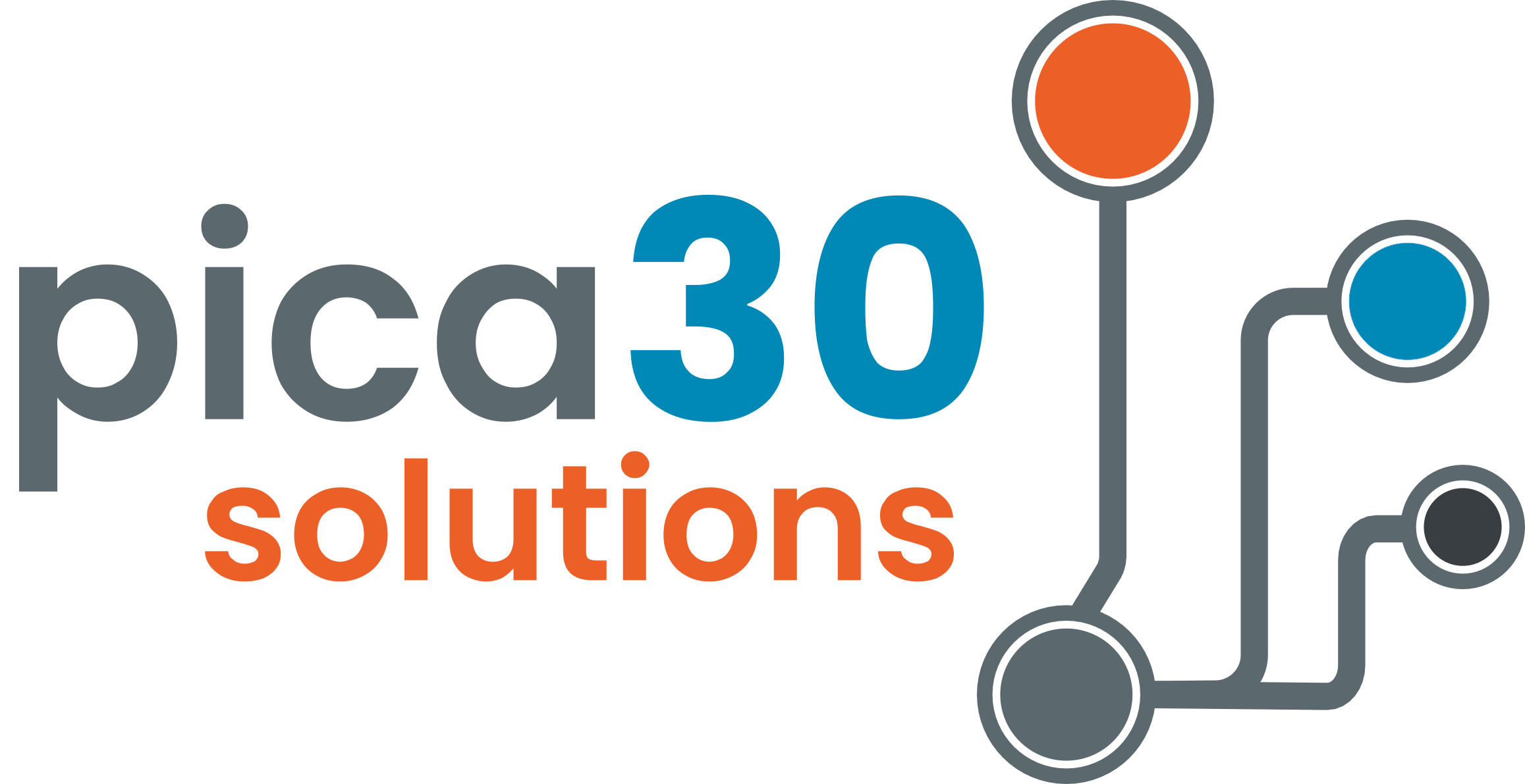 pica30 solutions